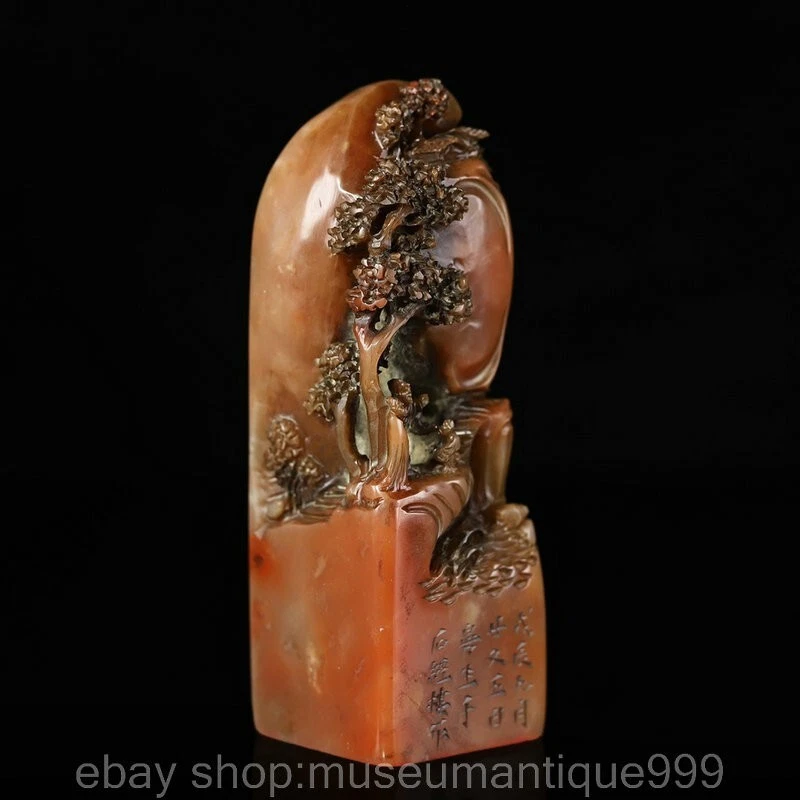 Figura de agua de montaña tallada piedra natural china Shoushan de 4,6" sello Foto 3 de 4