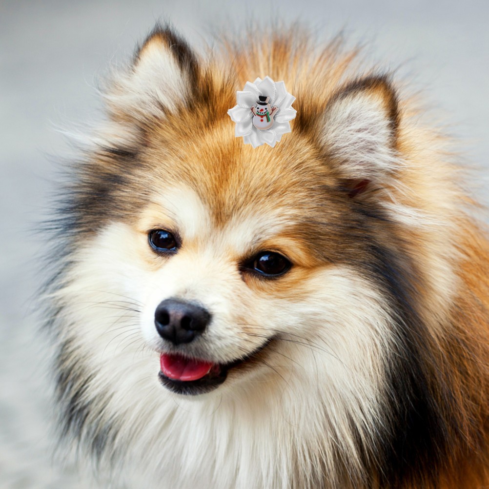 30 Pcs Accessori Per Cani Cane Fasce Capelli Durevoli Fermagli Peli Di foto 2
