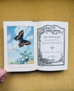 Antique Butterfly Book | eBay