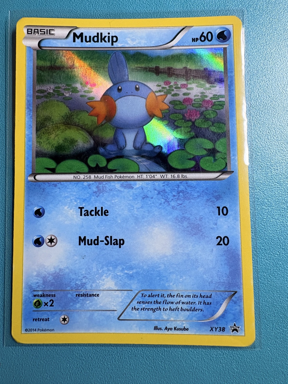 Mudkip XY38 XY Holo