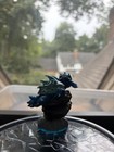 Skylanders Swap Force - Warnado - Lightcore — photo 2
