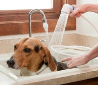 Sink Bathroom Tub Faucet Sprayer Rinser Rinse W Ace Detachable 3 Hose Washer Sink Bathroom Tub Faucet Sprayer Rinser Rinse W Ace Detachable 3 Hose Washer