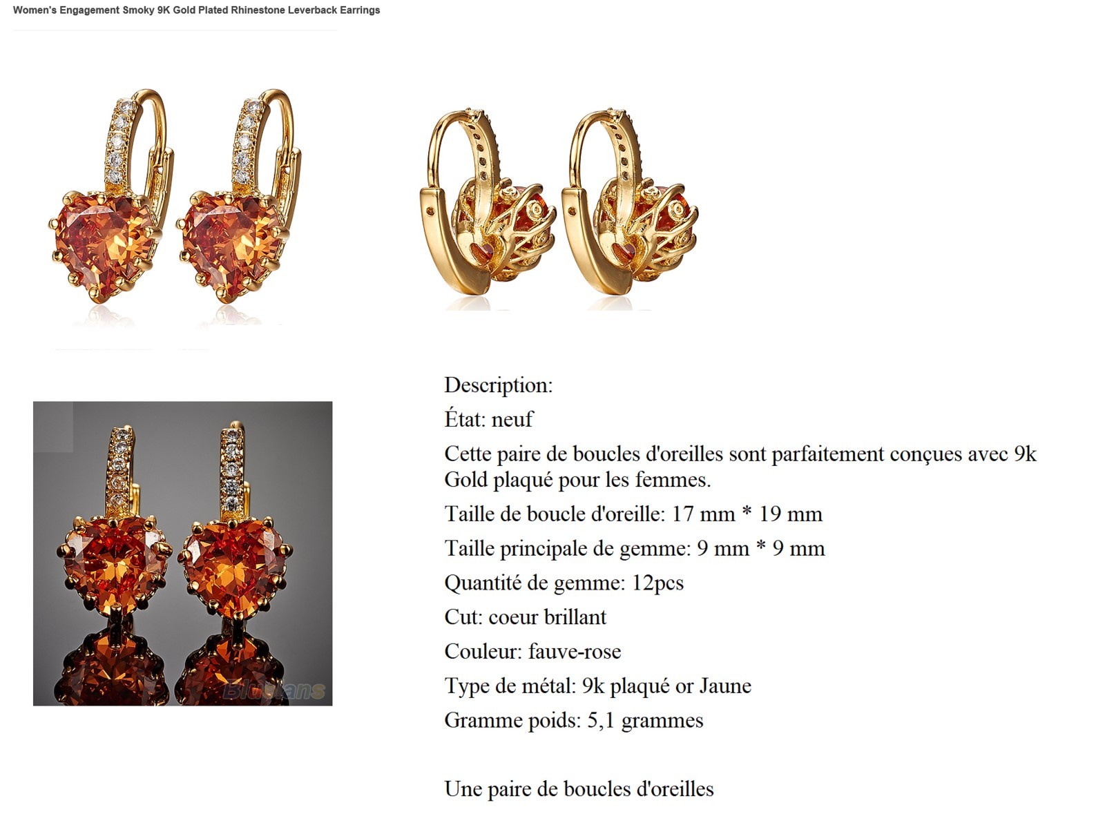 Boucles d'oreilles B309 Plaquées Or Jaune 9K pour un look chic