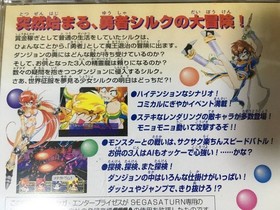 Dragon Master Silk Sega Saturn SS Retro Rare Good Used Game NTSC-J Japan JP