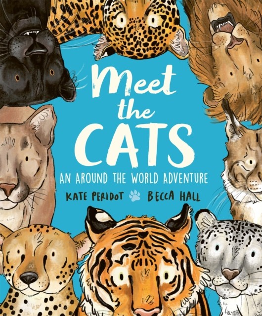 Meet the Cats - Image 6