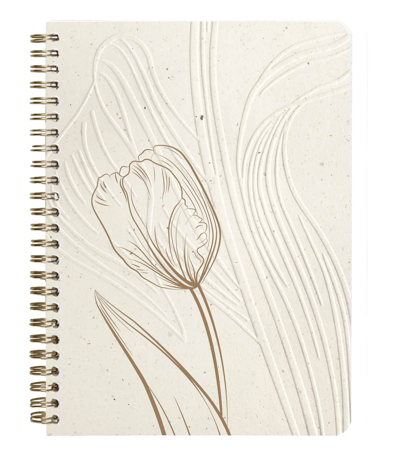 Clairefontaine 813068C - Spiral Notebook with 14,8x21 cm, Random