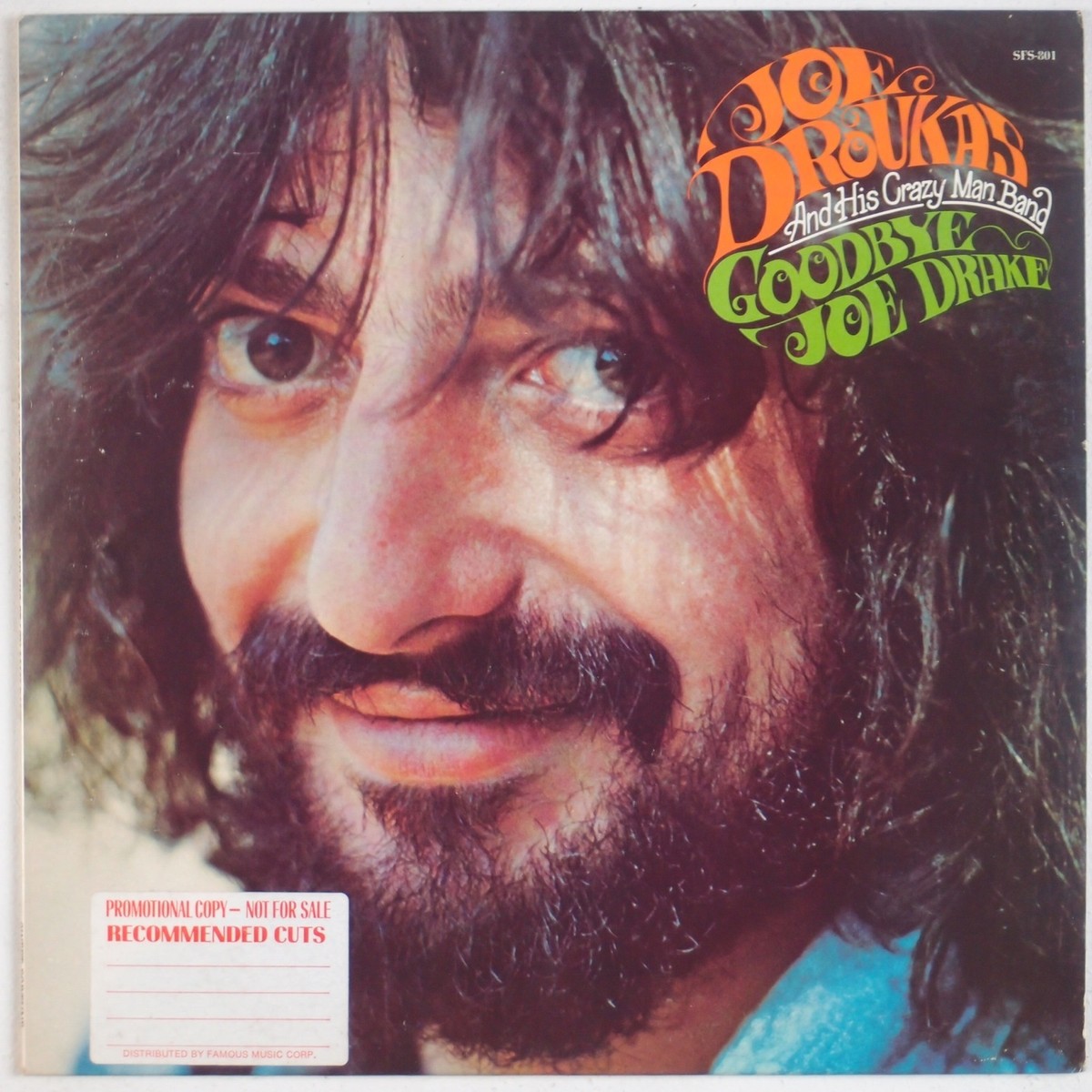 JOE DROUKAS: Goodbye Joe Drake '73 Sweet Fortune DJ PROMO Rock