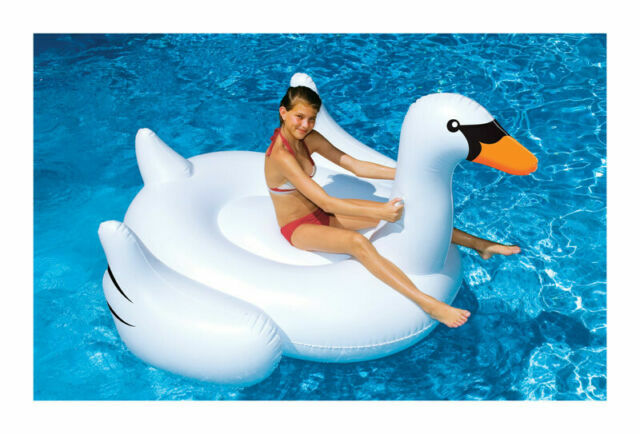 swimline swan