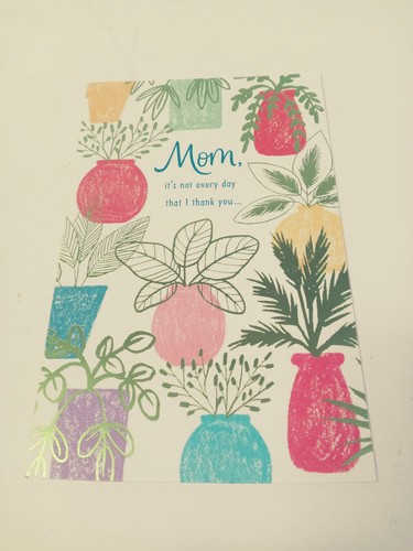 Mothers Day Greeting Card Potted Plants American Greetings Blue w/ Envelope