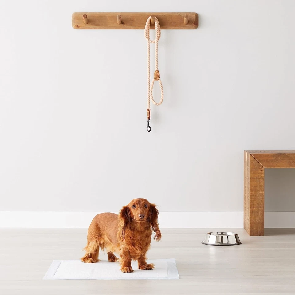 Almofadas de treinamento para xixi de cachorro 100 ct 5 camadas à prova de vazamento azuis - Imagem 2 de 4