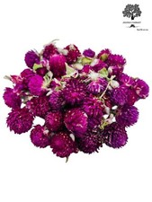 Dried Gomphrena Flower 25g - 1.95Kg Class A - Globe