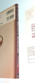 Power Stone Dreamcast Official Guidebook Strategy Guide