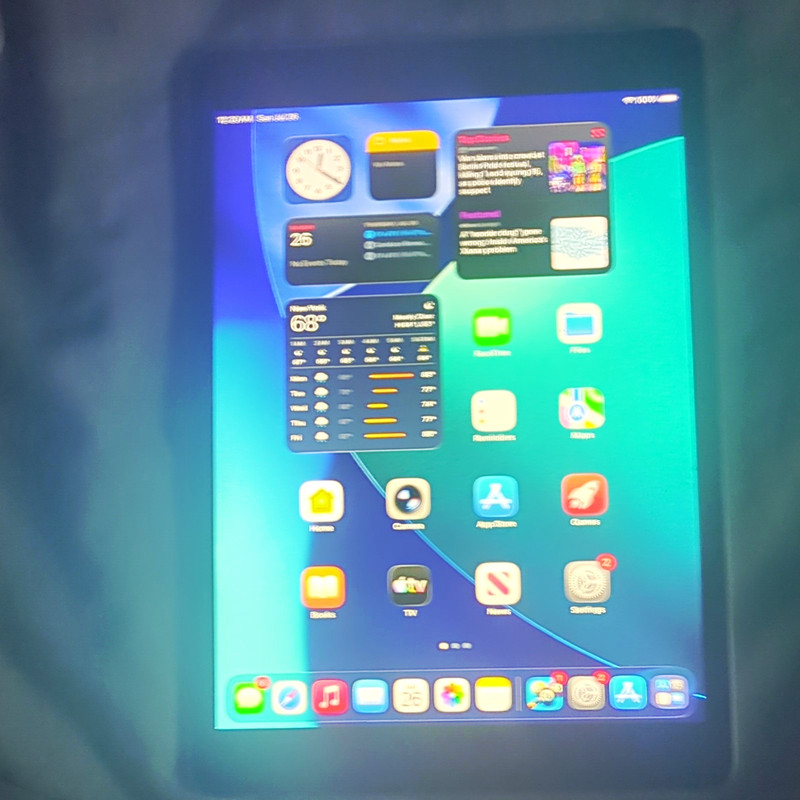 Apple iPad 9th Gen 10.2in 64GB Gray Wi‑Fi + 4G Unlocked MK673LL/A