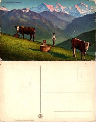 Postcard featuring Alps mountain scene with cows and child in Bei Beatenberg