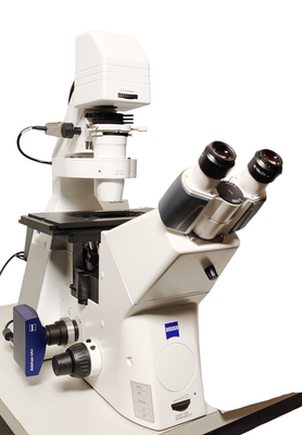 Zeiss Axio Observer.z1 Inverted Fluorescence Microscope 6