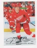 2025-26 UD SERIES 2 HOCKEY YOUNG GUNS RC MICHAEL BRANDSEGG-NYGARD RED WINGS #492