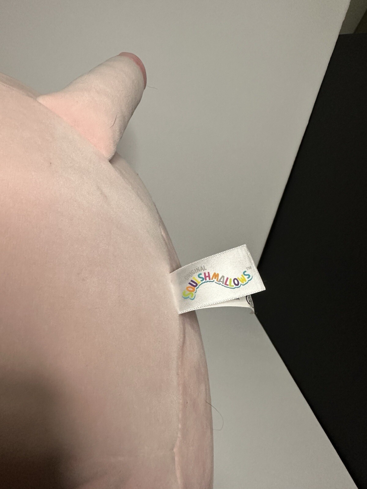 Foto 5 di 6