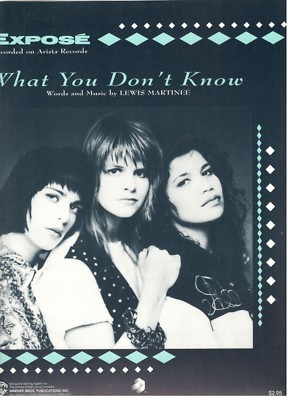 EXPOSE ''WHAT YOU DON'T KNOW'' SHEET MUSIC-1987-RARE-NEW ON SALE-MINT CONDITION!!