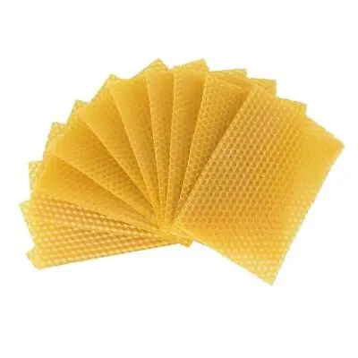 Acheter 10X Beeswax Foundation Bee Hive Wax Frame Beekeeping Sheets Honeycomb G6N6