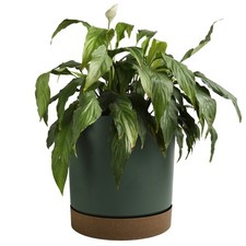 Round Flower Pot Planter with Saucer Indoor Outdoor Two Tone Matt Modern Decor