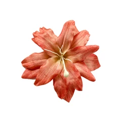 Simulated tulip brownie flower head for new style. Cross-border Instagram trend.