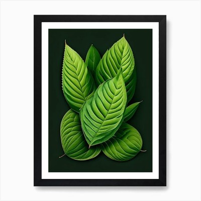 Gerahmtes Wandbild Ananas Salbeiblatt lebendig inspirieren Poster Leinwanddruck Bild