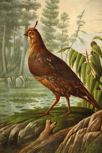 Beautiful Antique Depiction of Partridge Bird in a Landscape Animals Decorative - Picture 2 of 8