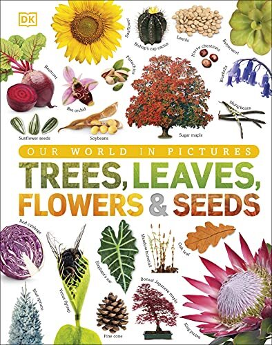 Trees, Leaves, Flowers and Seeds: A visual encyclopedia of the plant kingdom By