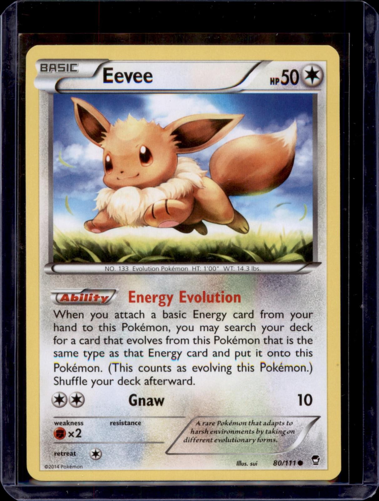 EEVEE 80/111 C FURIOUS FISTS POKEMON NM/M