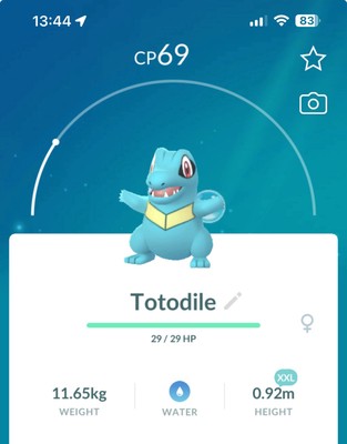 Totodile XXL SIZE Pokestop Showcase Pokemon Gen2 Go Same day Pokémon Feraligatr