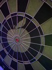 The Beatles Apple Records Dart Board Rare 2008 Vintage Reproduction New Wall Art — photo 5