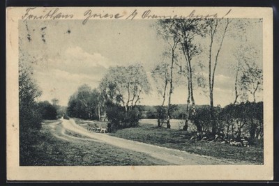 Birkenwerder, path in the Markish forest, postcard 1911 