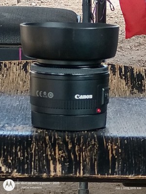 Canon EF 50mm F/1.8 STM Prime Lens - Black