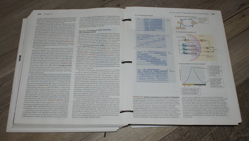 Animal Physiology Hardcover LOOSE LEAF by Hill Cavanaugh Anderson 5TH EDITION - Picture 3 of 8
