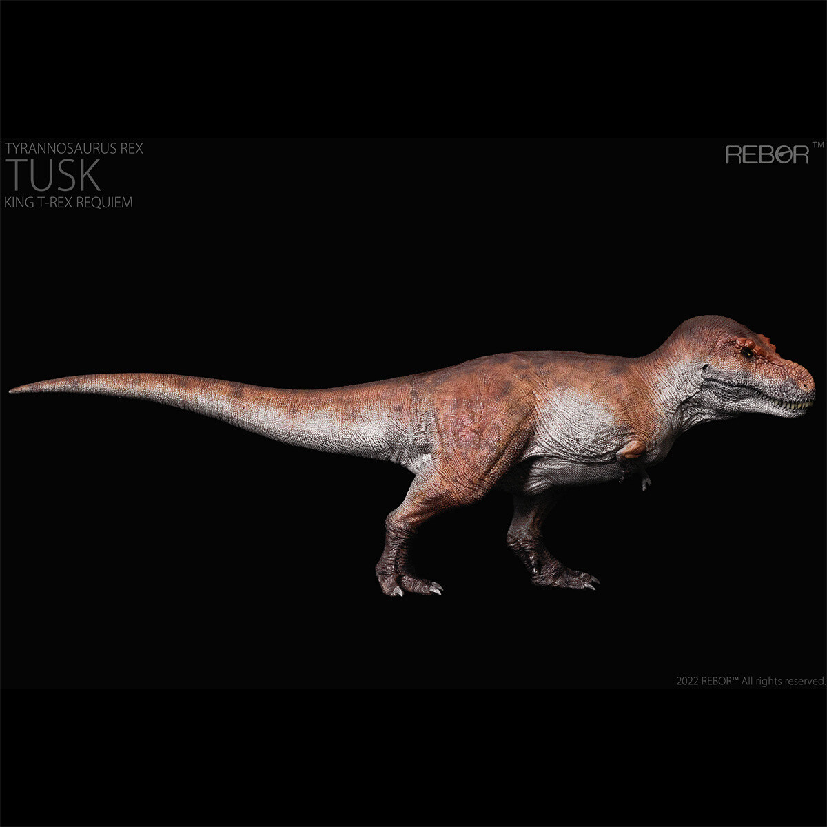 REBOR 1/35 Tyrannosaurus Rex Model KISS&TUSK Collector Dinosaur