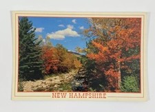 Bright Red Sugar Maple Trees in The White Mountains New Hampshire Postcard