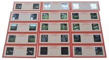 LOT OF 45 STEREO SLIDES FLOWERS, PEOPLE, SCENERY