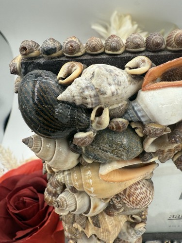 Aaron Brothers 4x4 Inside 8 Inch Sea Shell Beach Coastal Picture Frame - 第 5/9 張圖片