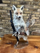 Taxidermy - Mounted Shooting Fox with Pheasant  & Shotgun Hunting Scene on Base