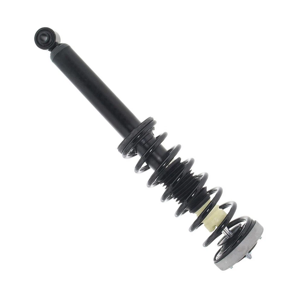 Puntales y muelles helicoidales completos traseros Monroe para BMW 525i 2004 2005 2006 2007 Foto 2 de 4