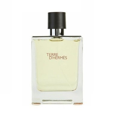 Terre D'Hermes by Hermes 3.3 oz EDT spray mens cologne 100 ml NEW Tester