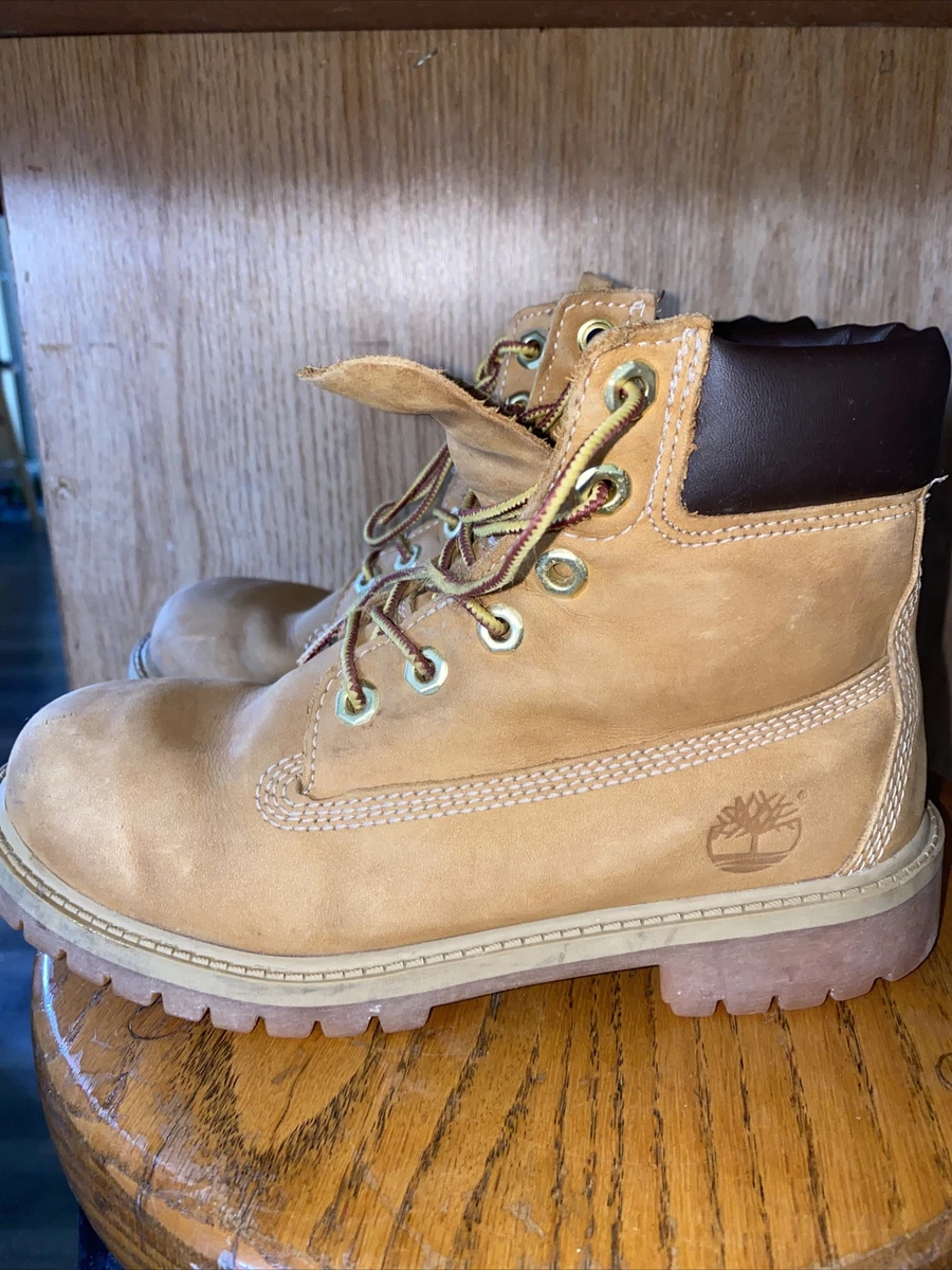 12909 timberland online