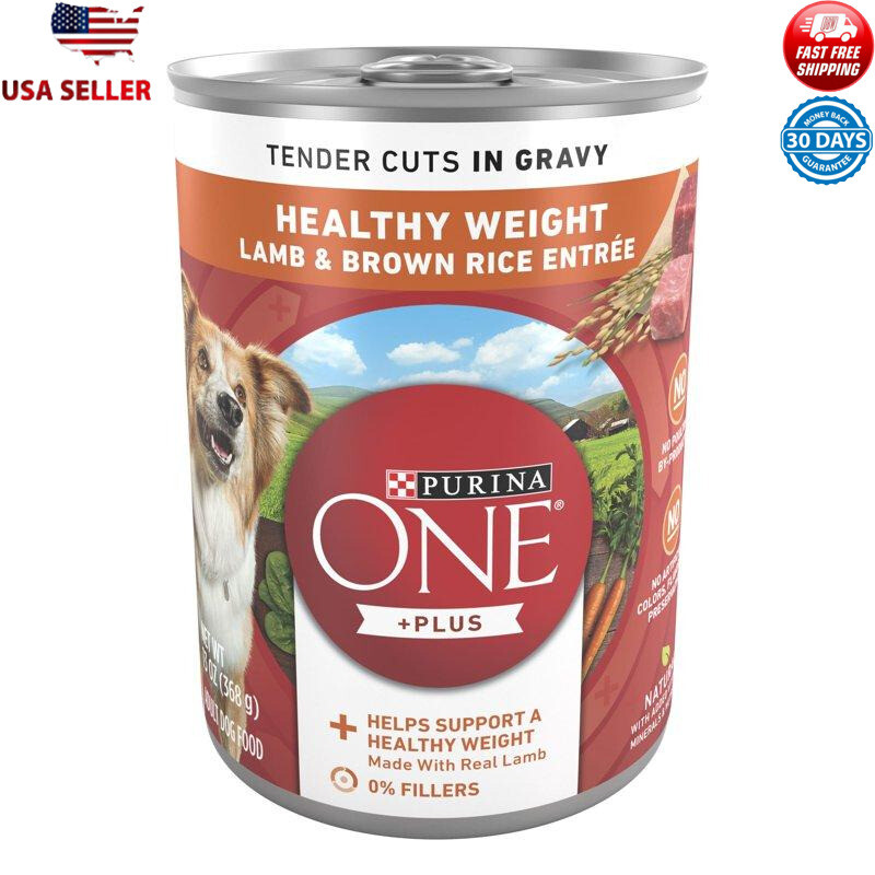 Real Lamb & Brown Rice Flavor 13 Oz Cans 12 Pack Us