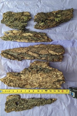Natural Tree Bark Pieces - Sanitized Craft Supply 6 Piece