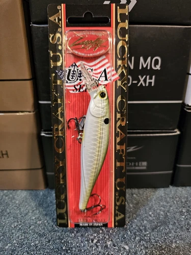 Lucky Craft - Pointer 100SP Green Sexy Jerkbait