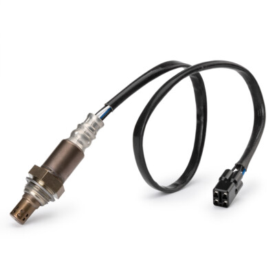 弦之助 中澤鋳造販売 ドアストッパー (L) ブロンズ 00095902-001 : Rtier-Shop