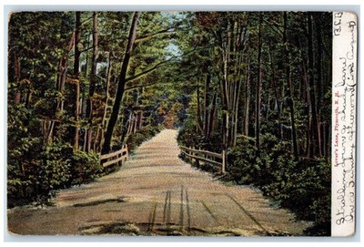 1906 View Of Lover's Lane Plymouth NH, Fair Fax VT Nature Scene Antique Postcard