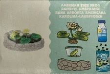 Frog Pond Miniverse Nature Series 2 Make It Mini AMERICAN TREE FROG  New