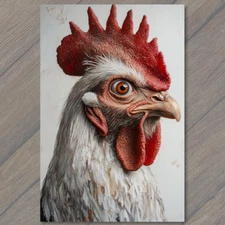 Art Print  Chicken Close-Up Stunning Poultry Human Eye Detail Weird Strange Cree