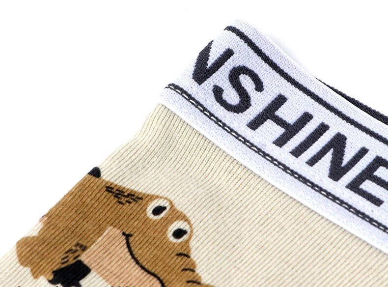 3 PIEZAS Calzoncillos boxer de algodón para niños pequeños Ropa interior de alta gama Isla de dinosaurios 2T-11T Foto 3 de 4